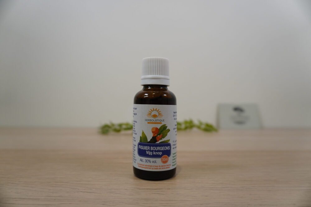 Herbolistique - Figuier Gemmo