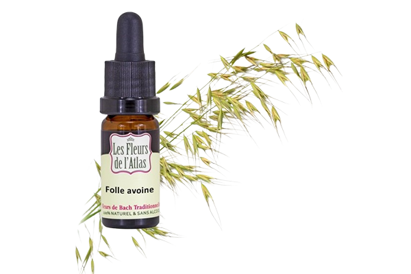 Fleurs de l’Atlas - Folle Avoine