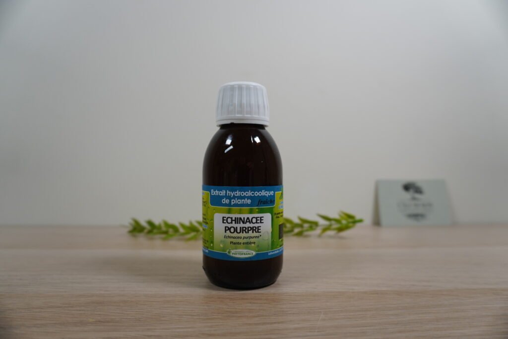 Teinture Mère Échinacée Bio